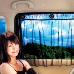 Шторка автомобильная