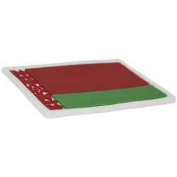 Коврик нескользящий д/панели флаг беларуси (18*10см)