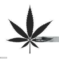 Наклейка конопляный лист